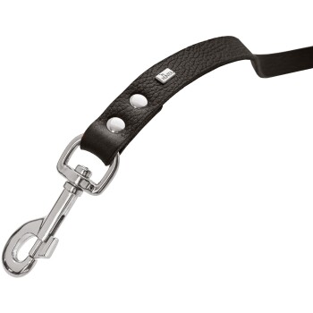 Schwarze Leder-Hundeleine mit silberner Hardware und zwei dekorativen Nieten, mit einem Metallclip zur Befestigung.