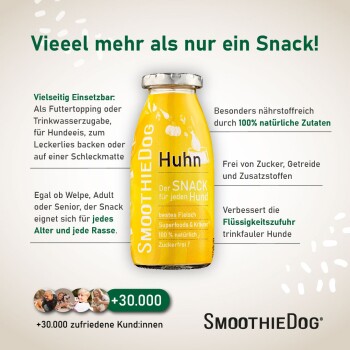 Eine Flasche SmoothieDog "Trinkpause" umgeben von frischen Zutaten: Kürbis, Birne, Zucchini, Himbeeren, Hähnchen und Kräutern.