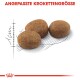 Drei braune Haustierfutter-Kroketten werden auf einer skizzierten Umrisslinie angezeigt, mit dem Text "ANGEPASSTE KROKETTENGRÖSSE" darüber.