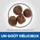 Quatre morceaux de croquettes pour animaux de compagnie sur un fond clair, avec un texte indiquant "UN GOÛT DÉLICIEUX" et des détails de taille en français.