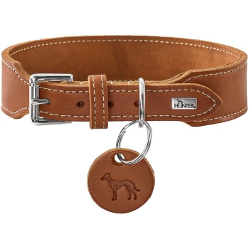 Braunes Leder-Hundehalsband mit silberner Schnalle, rundem geprägtem Anhänger und Metallplakette mit Aufschrift 'HUNTER'.
