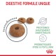 Digestive Care 10 kg