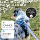 Ein Hund mit einem blauen Geschirr steht auf Gras, mit Text, der das atmungsaktive Mesh-Material hervorhebt, das für Sommer und Winter geeignet ist.