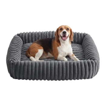 Beagle lächelt und liegt in einem grauen, gerippten, plüschigen rechteckigen Hundebett mit erhöhten Seitenwänden, weißer Hintergrund.