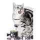 Eine verspielte silberne getigerte Katze leckt sich die Lippen und steht neben Dosen von "CAT'S LOVE" Junior Katzenfutter, das ein schlankes Design aufweist.