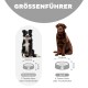 Größentabelle für Hundenapf: Mittlerer Hund (22,2 cm) mit 2-Tassen-Napf; Großer Hund (29,9 cm) mit 4-Tassen-Napf. Text: "GRÖSSENFÜHRER."