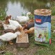 Beutel mit PANTO WGK Wasservogel-Getreidefutter neben einer Gruppe weißer Enten auf Gras, mit der Aufschrift "Made in Germany."