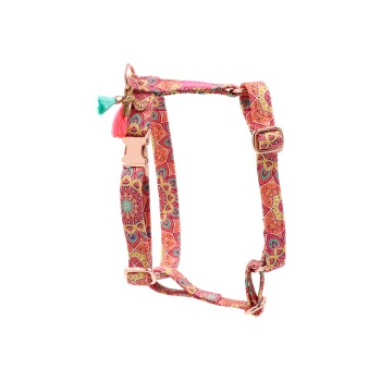 - Hundegeschirr - Happy gold L