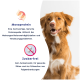 Braun-weißer Hund sitzt neben Text über Vorteile von Tierfutter: „Monoprotein“ und „Zuckerfrei“ mit Symbolen.