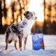 Ein blauäugiger Australian Shepherd steht im Schnee neben einem "WOW" Hundefutterbeutel mit Lamm- und Süßkartoffelzutaten.