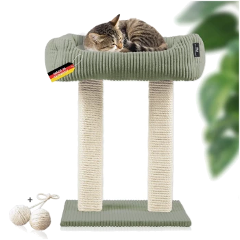Ein gemütlicher Katzenbaum mit einem grünen Plüschbett oben, mit einer schlafenden getigerten Katze, zwei sisalumwickelten Pfosten und zwei hängenden Spielzeugbällen.