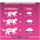 Infografik, die die empfohlenen täglichen Fütterungsmengen für Kätzchen basierend auf dem Alter zeigt: 6-12 Wochen (50-65g), 12-26 Wochen (65-75g), 26-52 Wochen (75-70g).