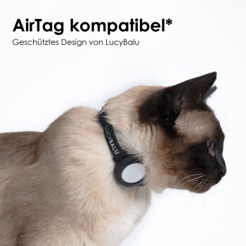 Eine Nahaufnahme einer Siamkatze mit einem schwarzen Halsband, das für die AirTag-Kompatibilität entworfen wurde, mit dem Markennamen "LucyBalu."