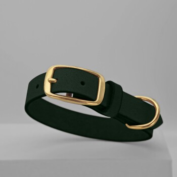 Ein stilvolles dunkelgrünes Haustierhalsband mit einer goldenen Schnalle und D-Ring, vor einem neutralen Hintergrund präsentiert.