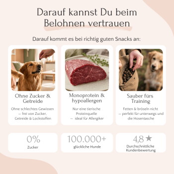 Hundeleckerlis verstreut auf einem hellrosa Hintergrund, mit Text, der ihre natürlichen Zutaten, Eignung für Allergien und weiche Textur hervorhebt.