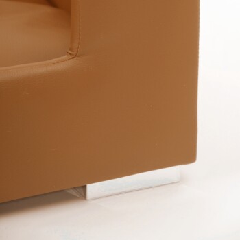 Eine Nahaufnahme eines modernen Haustiersofas in warmem Braun, mit einem eleganten silbernen Fuß.