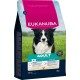 Sac de nourriture pour chiens adultes Eukanuba pour chiens moyens 10-25 kg, riche en poulet frais, avec défense dentaire et prébiotiques.