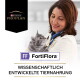 Tierarzt hält graue Katze, Purina Pro Plan-Logo, 'FF FortiFlora', Text 'WISSENSCHAFTLICH ENTWICKELTE TIERNAHRUNG'.