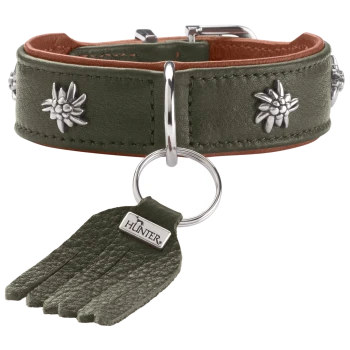 Grünes Lederhalsband mit silbernen Blütennieten, D-Ring und Quastenanhänger mit Aufschrift 'HUNTER'.