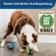 Ein braun-weißer Hund spielt mit einem Spielzeug auf einem Holzboden, mit dem Text "Bestes interaktive Hundespielzeug" und einem Auszeichnungsabzeichen.