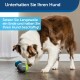 Ein braun-weißer Hund spielt mit bunten Spielzeugen auf einem Holzboden. Text: "Unterhalten Sie Ihren Hund" und "Beenden Sie die Langeweile und halten Sie Ihren Hund beschäftigt."