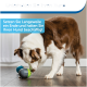 Ein braun-weißer Hund spielt mit bunten Spielzeugen auf einem Holzboden. Text: "Unterhalten Sie Ihren Hund" und "Beenden Sie die Langeweile und halten Sie Ihren Hund beschäftigt."