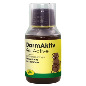 Flasche von cdVet DarmAktiv GutActive, ein natürliches Haustierergänzungsmittel für die Darmgesundheit, mit einem grünen und gelben Etikett und einem Symbol für das Verdauungssystem.