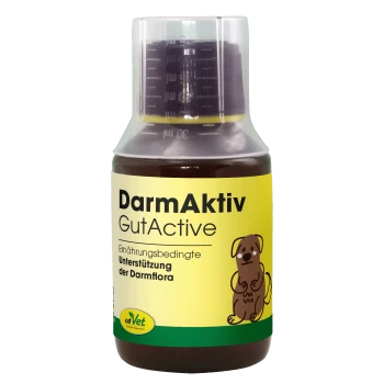 Flasche von cdVet DarmAktiv GutActive, ein natürliches Haustierergänzungsmittel für die Darmgesundheit, mit einem grünen und gelben Etikett und einem Symbol für das Verdauungssystem.
