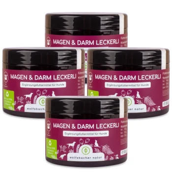 Vier Gläser "Magen & Darm Leckerli", ein Nahrungsergänzungsmittel für Hunde, mit einem lila Etikett mit Text auf Deutsch.