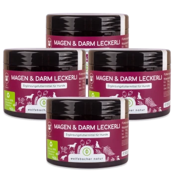 Vier Gläser "Magen & Darm Leckerli", ein Nahrungsergänzungsmittel für Hunde, mit einem lila Etikett mit Text auf Deutsch.