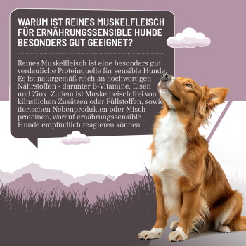 Dosen mit reinem Muskelfleisch für empfindliche Hunde, beschriftet mit Pferd Pur, Ente Pur und Hirsch Pur, die hypoallergene und ein Proteinmerkmale hervorheben.