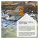 Ein Rotkehlchen, das im Wasser badet, umgeben von Spritzern, mit Textüberlagerung 'WISSENSWERTES GOOD TO KNOW' und Informationen über Vogelbäder.