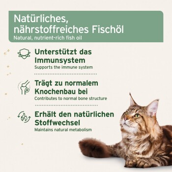 Getigerte Katze mit dem Text 'Natürliches, nährstoffreiches Fischöl' und aufgeführten Vorteilen: Immununterstützung, Knochenaufbau, Stoffwechsel.