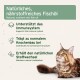 Getigerte Katze mit dem Text 'Natürliches, nährstoffreiches Fischöl' und aufgeführten Vorteilen: Immununterstützung, Knochenaufbau, Stoffwechsel.