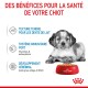 Un chiot à côté d'un bol rouge de nourriture pour chiens Royal Canin, mettant en avant les avantages : texture tendre, soutien immunitaire et développement cérébral.