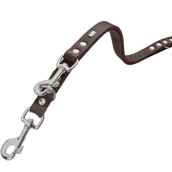 Braune Leder-Hundeleine mit silbernen Metallclips und Nieten, die ein langlebiges Design für das Gassigehen zeigt.