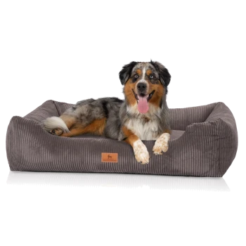 Dreifarbiger Hund liegt auf einem grauen Cord-Rand-Hundebett mit Lederpatch 'KNUFFELWUFF', mit herausgestreckter Zunge.