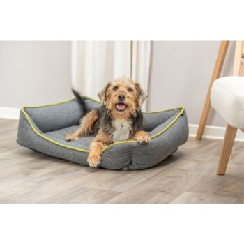 Ein kleiner Hund ruht auf einem gemütlichen grauen Haustierbett mit gelbem Rand, das auf einem Holzboden neben einem Stuhl und Vorhängen steht.