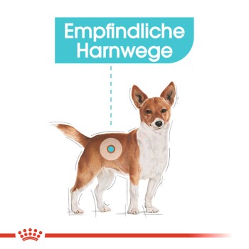 Illustration eines Hundes mit einem hervorgehobenen Bereich auf seinem Körper, beschriftet mit "Empfindliche Harnwege", der auf empfindliche Harnwege hinweist.
