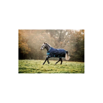Ein graues Pferd, das eine marineblaue Decke mit türkisfarbenen Streifen trägt, galoppiert über ein nebliges grünes Feld, umgeben von Herbstbäumen.