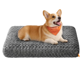 Corgi-Hund mit orangefarbener "Feandrea"-Bandana, liegend auf einem strukturierten grauen Haustierbett mit orangefarbenem Etikett.