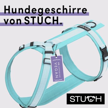 Ein türkisfarbenes Hundegeschirr von STUCH mit einem "Vegan Approved"-Tag, ausgestattet mit verstellbaren Riemen und einem eleganten Design.