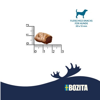 Einzelner brauner Hundesnack neben Lineal (ca. 20 × 12 mm); Text 'FLEISCHIGE SNACKS FÜR HUNDE 20 x 12 mm' und BOZITA-Logo.