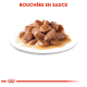 Bouchées en sauce, présentant une assiette de morceaux de viande tendre dans une sauce savoureuse, affichée sur un fond blanc.