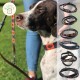 Nahaufnahme eines braun-weißen Hundes mit einem bunten Halsband und passender Leine; Halsbanddesigns und "KIPITA"-Logo sichtbar.