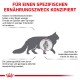 Illustration einer Katze, die ein Gelenk hervorhebt, mit deutschem Text zu Gelenkproblemen, Aktivitätsauswirkungen und altersbedingten Risiken.