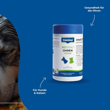 Canina PETVITAL Ohrentücher-Dose vor blauem Hintergrund, zeigt den Text 'OHREN Tücher' und 'Für Hunde & Katzen'.