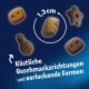 Bild von verschiedenen Haustierleckereien in verschiedenen Formen und Größen, die 1,3 cm messen, mit dem Text: "Köstliche Geschmacksrichtungen und verlockende Formen."