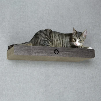 Eine gestreifte getigerte Katze, die auf einem Holzregal vor einem grauen Hintergrund entspannt.