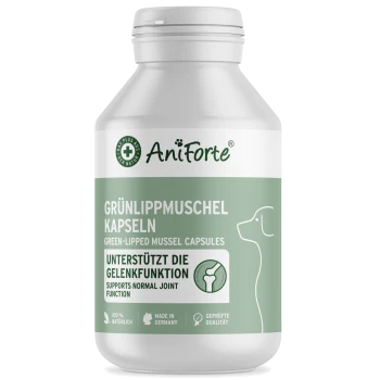 Flasche mit AniForte Grünlippmuschel-Kapseln für Hunde, beschriftet in Deutsch und Englisch, zur Förderung der Gelenkunterstützung.